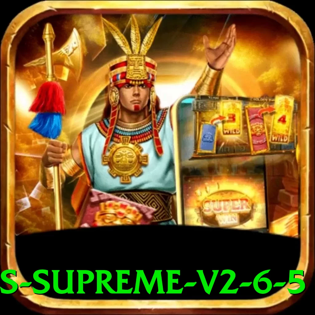 333m Bonus Supreme v2.6.5 - programa